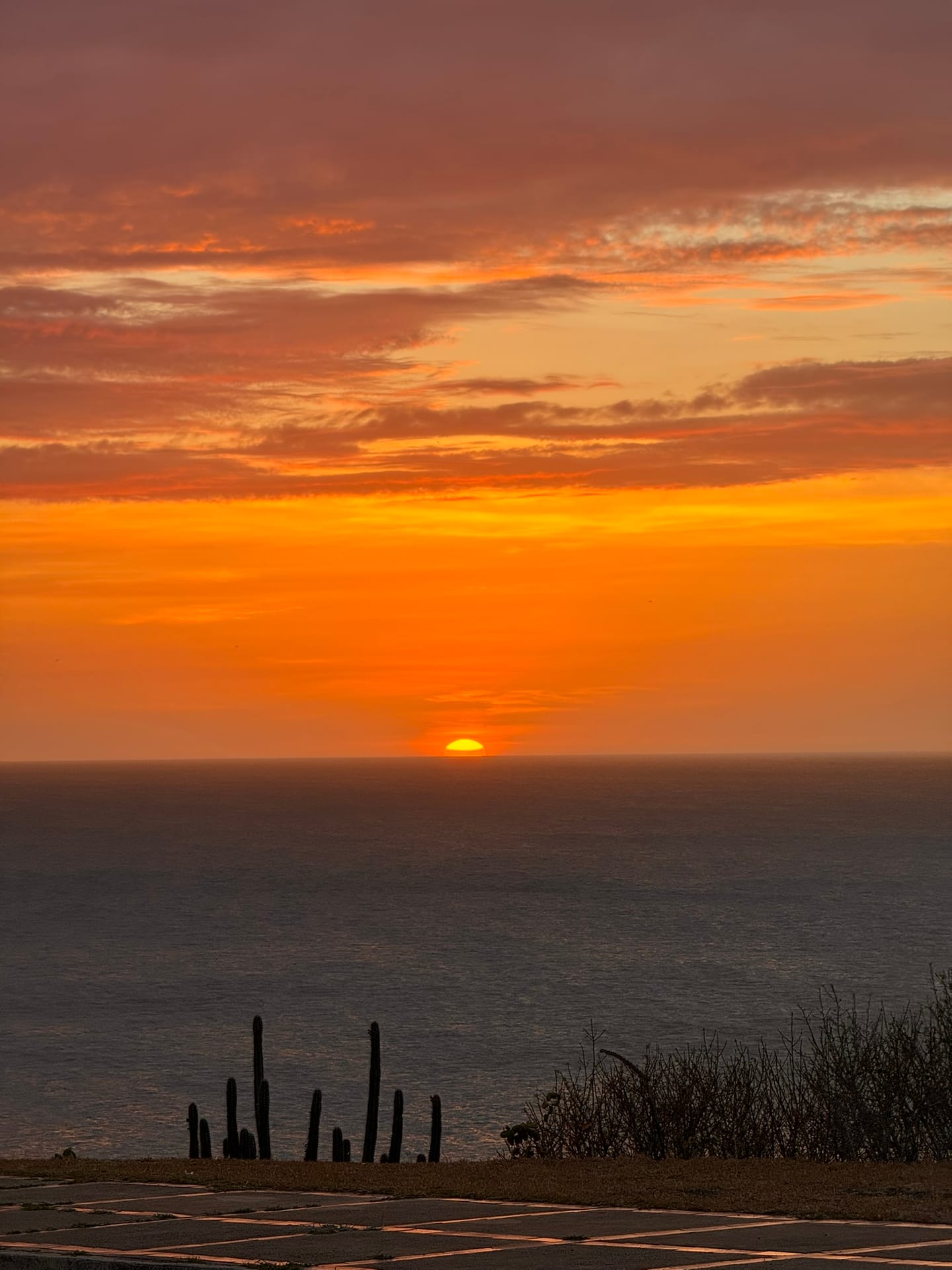Sonnenuntergang über Margarita mit Kakteen